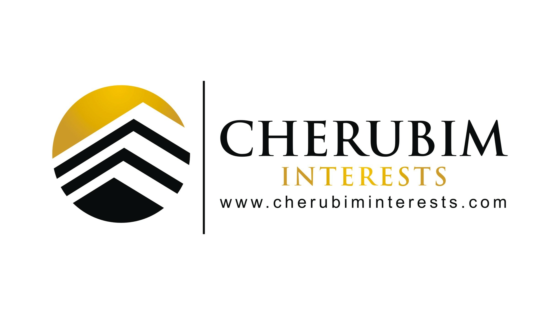 NewMediaWire Cherubim Interests, Inc. Signs MOU to Acquire Revenue