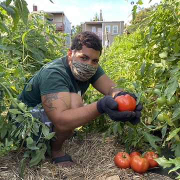 The Food Project 2