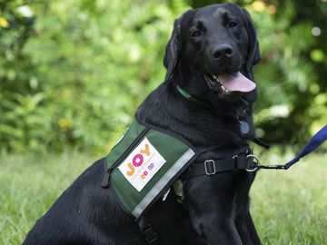Unleashing our New Chief Joy Officer – Cooper Dunkin’ Unleashing our New Chief Joy Officer – Cooper Dunkin’