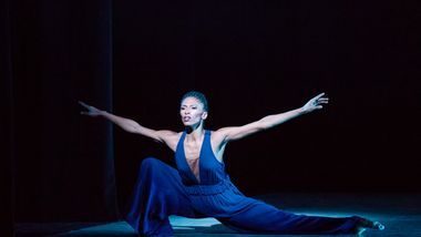 AAADT's Jacqueline Green in Jamar Roberts' Members Don't Get Weary