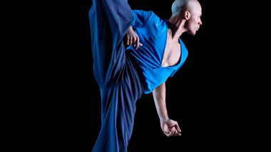 AAADT's Yannick Lebrun in Jamar Roberts' Members Don't Get Weary 