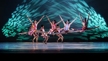 Alvin Ailey American Dance Theater in Judith Jamison's Divining