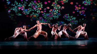 Alvin Ailey American Dance Theater in Jamar Roberts' Ode