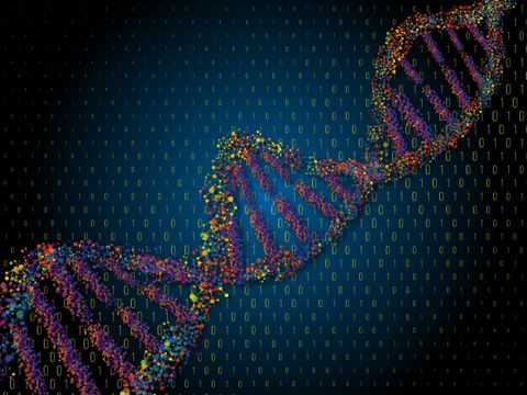 Genomic Security: A New Frontier