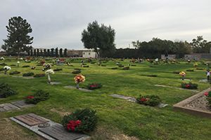 IMG_0049