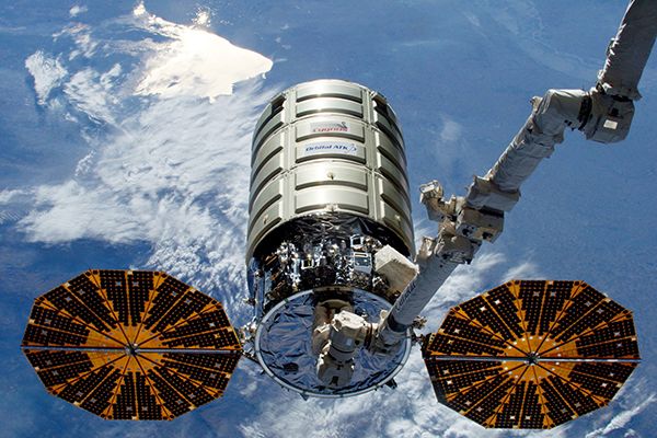Cygnus