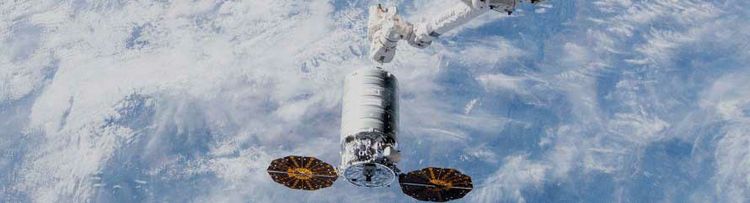 OA5__banner
