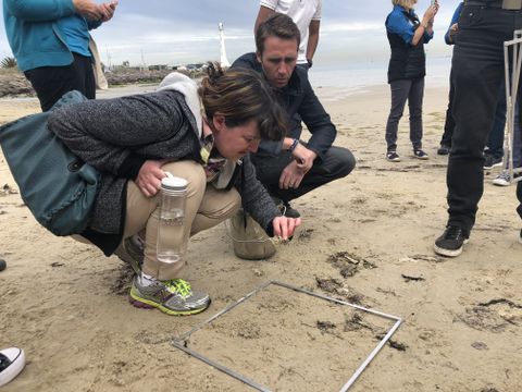The Northrop Grumman Foundation and Philippe Cousteau, Jr.’s EarthEcho International Empower Teachers and Students to Help Save Oceans from the Plastic Trash Crisis 