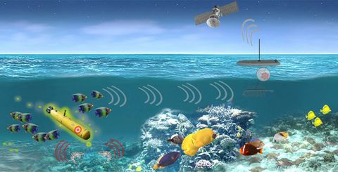 DARPA’s Biological Technology Office Selects Northrop Grumman for Persistent Aquatic Living Sensors (PALS) Program