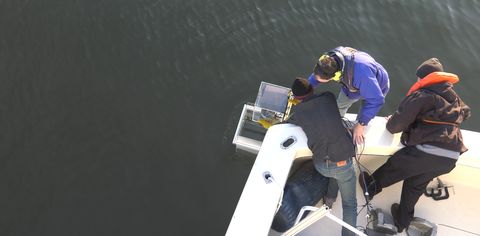 Northrop Grumman to Upgrade Oyster Monitoring in Chesapeake Bay 
