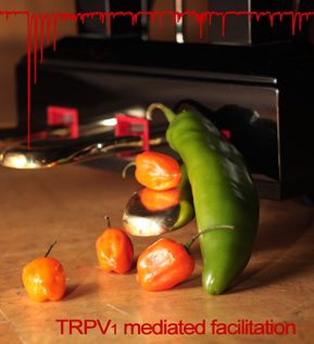 cover-for-web---newsletter