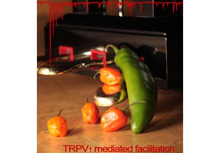 cover-for-web---newsletter