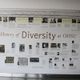 OHSU Diversity Story Wall unveiled: “Healing, teaching and discovery coming together for all people.”