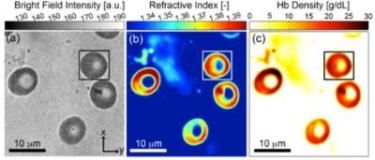 OHSU Biomedical Engineers develop technique to determine the weight of particles so small, you need a microscope to see them