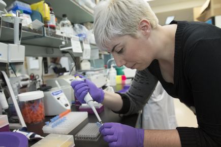 Promising microRNA study