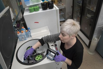 Promising microRNA study