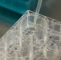 Promising microRNA study