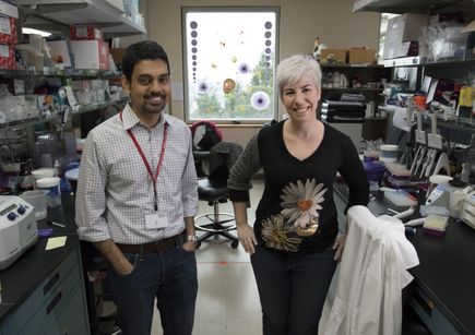 Promising microRNA study
