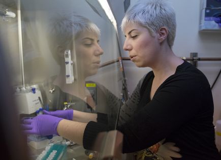 Promising microRNA study