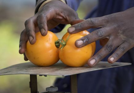 Community Partnership Program funds 10 new cancer research projects around the state