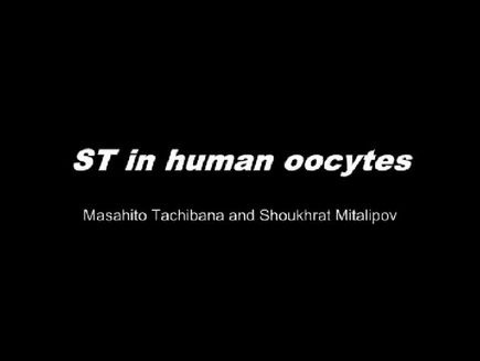 ST in human oocytes