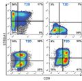 FIGURE 2: Researchers at OHSU used human pancreatic islets to discover a method of identifying and isolating four distinct types of beta cells