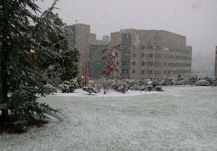 Hatfield Research Center