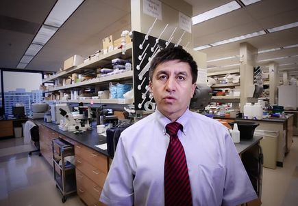 VIDEO: Profile of Shoukhrat Mitalipov, Ph.D.