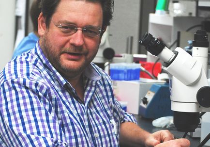 Peter Steyger, Ph.D.