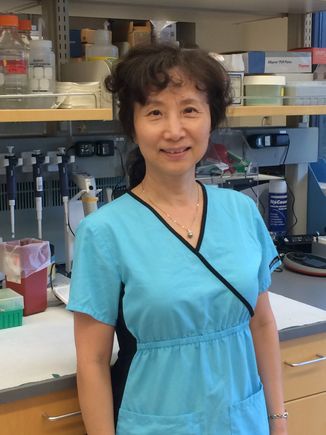 Hong Ma, M.D., Ph.D.