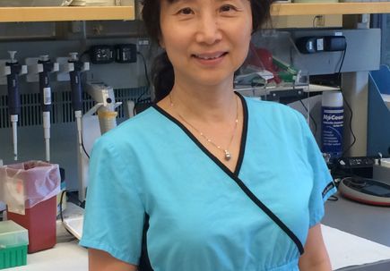 Hong Ma, M.D., Ph.D.