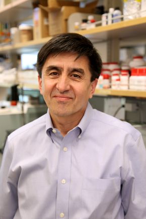 Shoukhrat Mitalipov, Ph.D