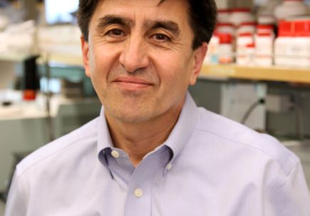 Shoukhrat Mitalipov, Ph.D