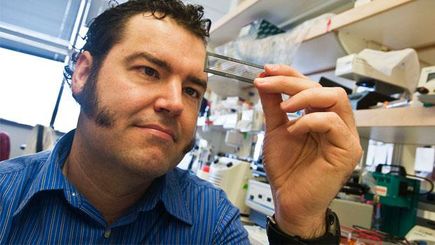 Brian J. O'Roak, Ph.D. in the lab