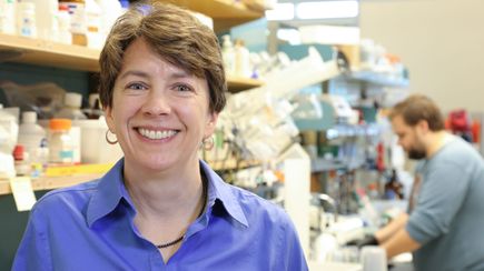 Beth Habecker, Ph.D.