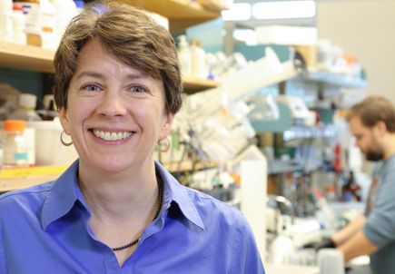 Beth Habecker, Ph.D.