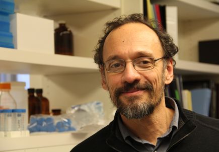 Claudio Mello, Ph.D.