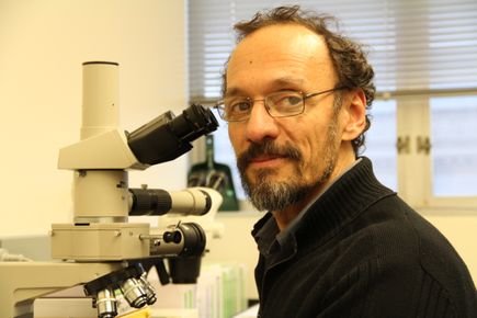 Claudio Mello, M.D., Ph.D. in the lab