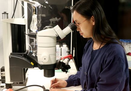 Lingyan Wang, Ph.D., in lab