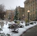 Coming to OHSU during inclement weather? 
