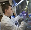 Gene mutations cause leukemia, but which ones? 
