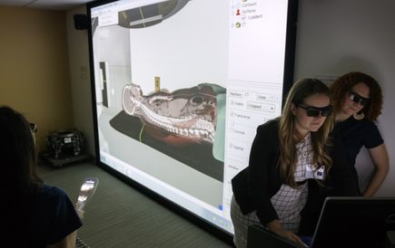 Patients with cancer now can see a 3-D preview of their radiation ...