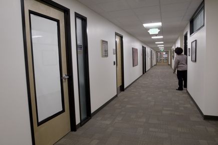 Intercultural Psychiatric Program