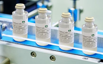 Stroke stem cell therapy