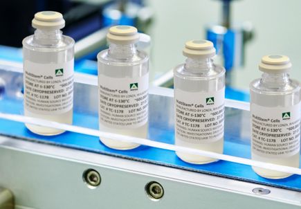 Stroke stem cell therapy