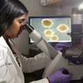 AML research