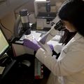 AML research
