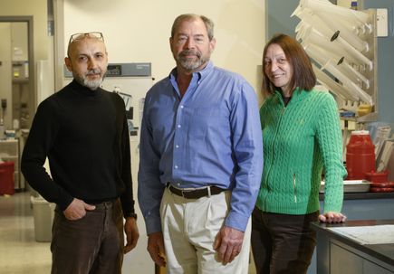 Research Week: Stephen Lloyd, Ph.D.