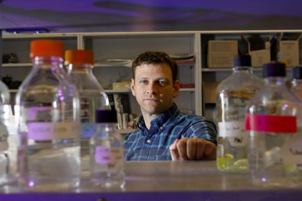 Research Week 2017: Kevin Wright, Ph.D.