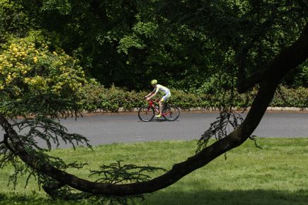 Elite athlete with MS